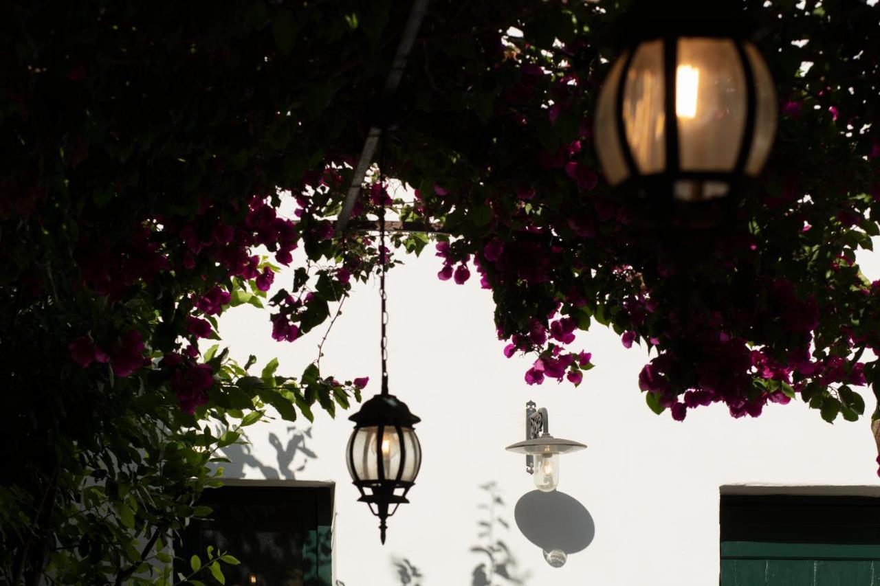 Don Alfonso Dimora D'epoca Bed & Breakfast Racale
